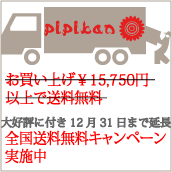 �r���v�ʔ́E�L�����y�[��